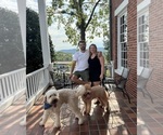 Small #14 Breeder Profile image