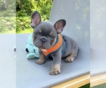 Small #2 Breeder Profile image