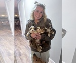 Small #38 Breeder Profile image
