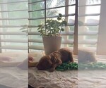 Small #36 Breeder Profile image