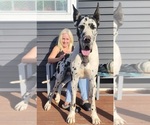 Small #1 Breeder Profile image