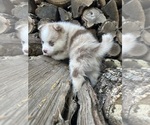 Small #8 Breeder Profile image