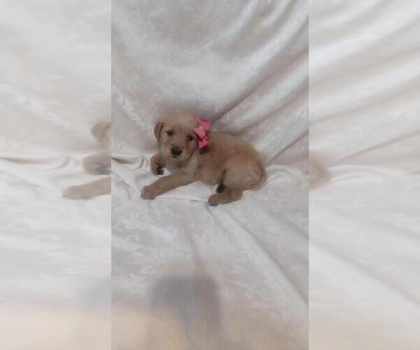 Medium Photo #12  Breeder Profile in BROOKSVILLE, KY, USA