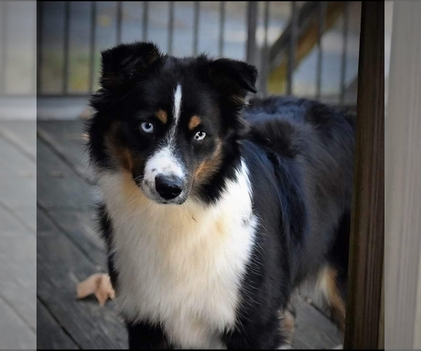 Medium Photo #1  Breeder Profile in ELIZABETH CITY, NC, USA