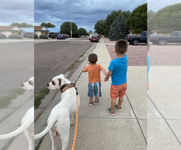 Medium Photo #8  Breeder Profile in GALLUP, NM, USA