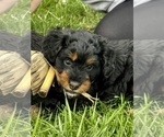 Small #2 Breeder Profile image