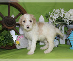 Small #69 Breeder Profile image