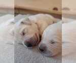 Small #6 Breeder Profile image