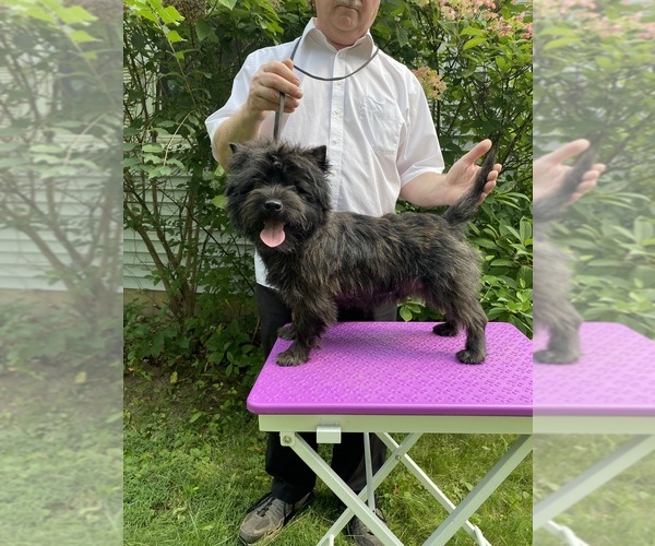 Medium Photo #5  Breeder Profile in ROCKFORD, IL, USA