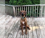 Small #60 Breeder Profile image