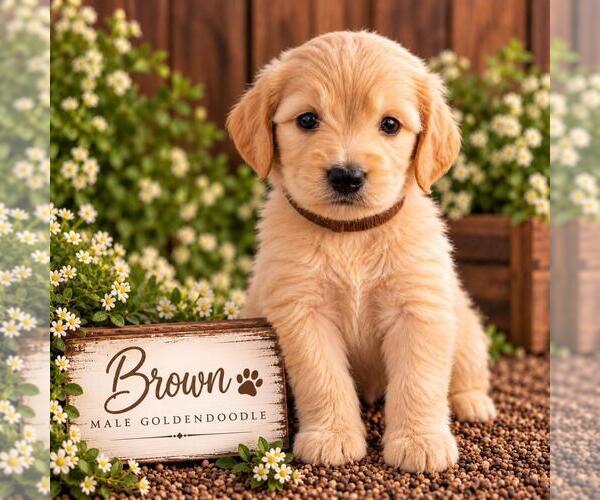 Medium Photo #17  Breeder Profile in MIDDLETOWN, OH, USA
