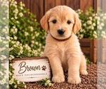 Small #16 Breeder Profile image