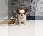 Small #16 Breeder Profile image