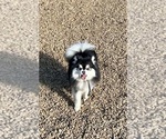 Small #11 Breeder Profile image
