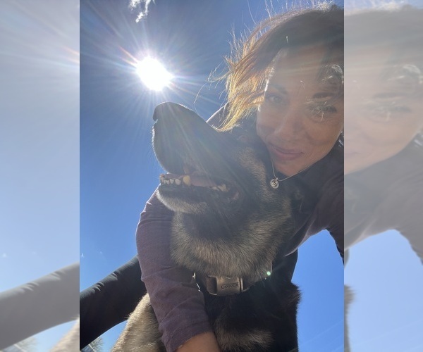 Medium Photo #1  Breeder Profile in BRIGHTON, MO, USA