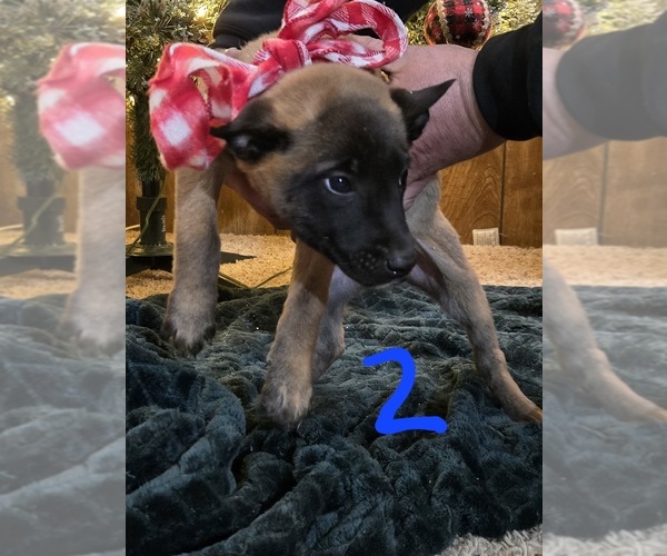 Medium Photo #1  Breeder Profile in OAKLEY, ID, USA