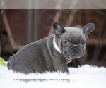 Small breeder photo