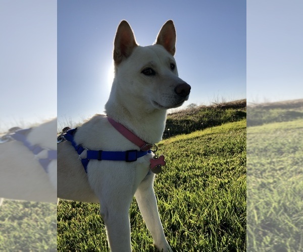Medium Photo #4  Breeder Profile in RINCON, AZ, USA