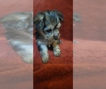 Small #298 Breeder Profile image
