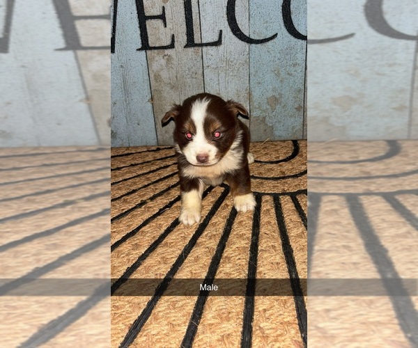 Medium Photo #1  Breeder Profile in RICHMOND, KS, USA