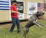 Small #22 Breeder Profile image