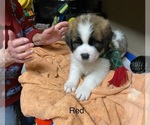 Small #7 Breeder Profile image