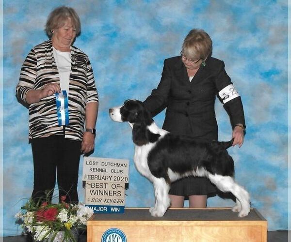 Medium Photo #5  Breeder Profile in MEADOW VISTA, CA, USA