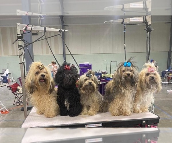 Medium Photo #4  Breeder Profile in THOMASTON, GA, USA