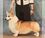 Small breeder photo