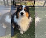 Small #5 Breeder Profile image