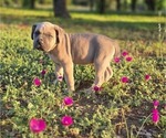 Small #14 Breeder Profile image