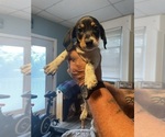 Small #7 Breeder Profile image
