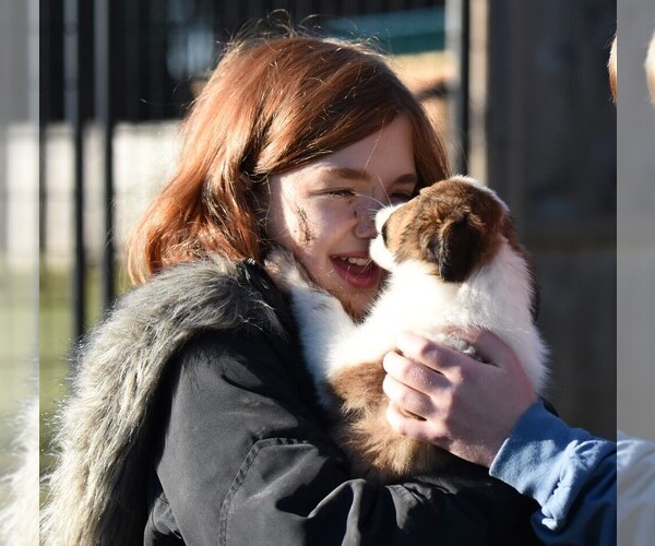 Medium Photo #42  Breeder Profile in PARIS, MI, USA