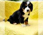Small #6 Breeder Profile image