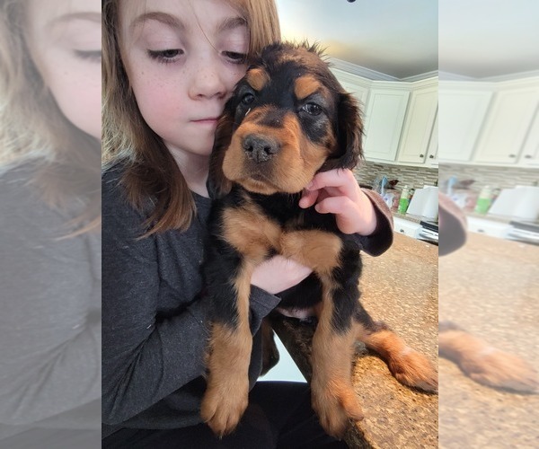 Medium Photo #1  Breeder Profile in GREENWOOD, MI, USA