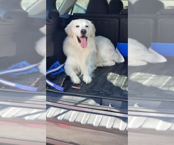 Medium Photo #3  Breeder Profile in DIAMOND, CA, USA