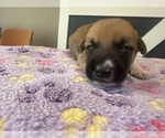 Small #24 Breeder Profile image