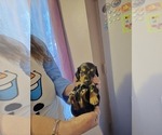 Small #16 Breeder Profile image