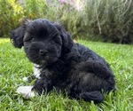 Small #13 Breeder Profile image