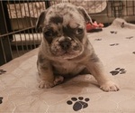 Small #18 Breeder Profile image