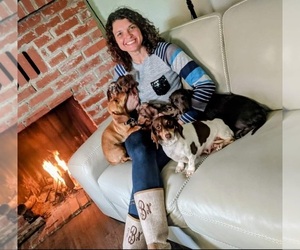 Dachshund Dog Breeder near REDDING, CA, USA
