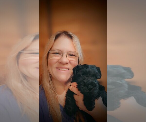Medium Photo #3  Breeder Profile in ATHENS, AL, USA