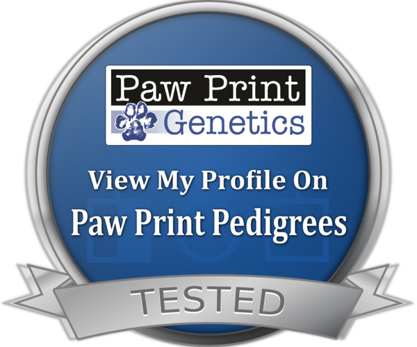 Medium Photo #7  Breeder Profile in CITRUS HEIGHTS, CA, USA