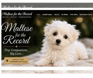 Maltese Dog Breeder near CULLMAN, AL, USA