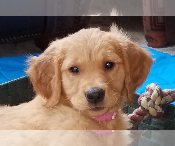 Medium Photo #6  Breeder Profile in COULEE CITY, WA, USA