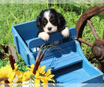 Small #48 Breeder Profile image