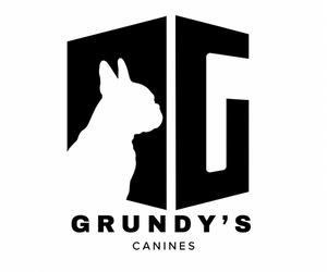 French Bulldog Dog Breeder near MORGANTOWN, PA, USA