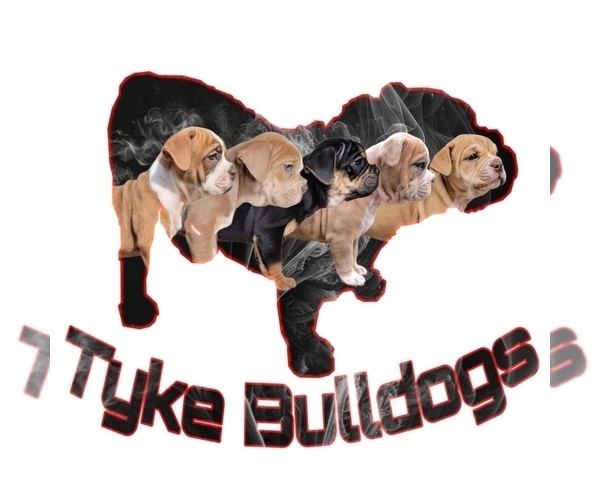 Medium Photo #1  Breeder Profile in NEOSHO, MO, USA