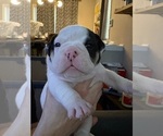 Small #4 Breeder Profile image