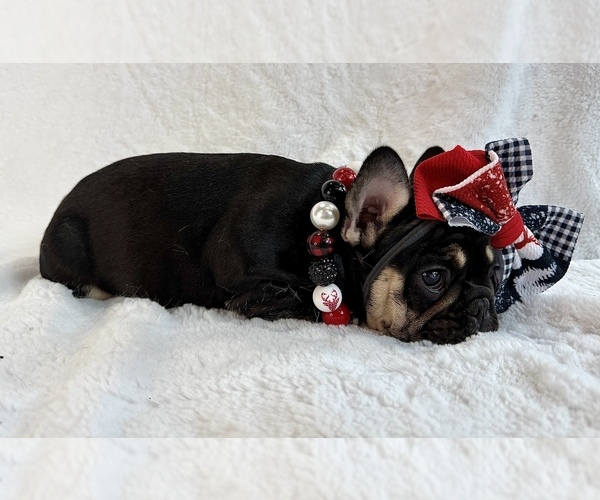 Medium Photo #9  Breeder Profile in KALISPELL, MT, USA